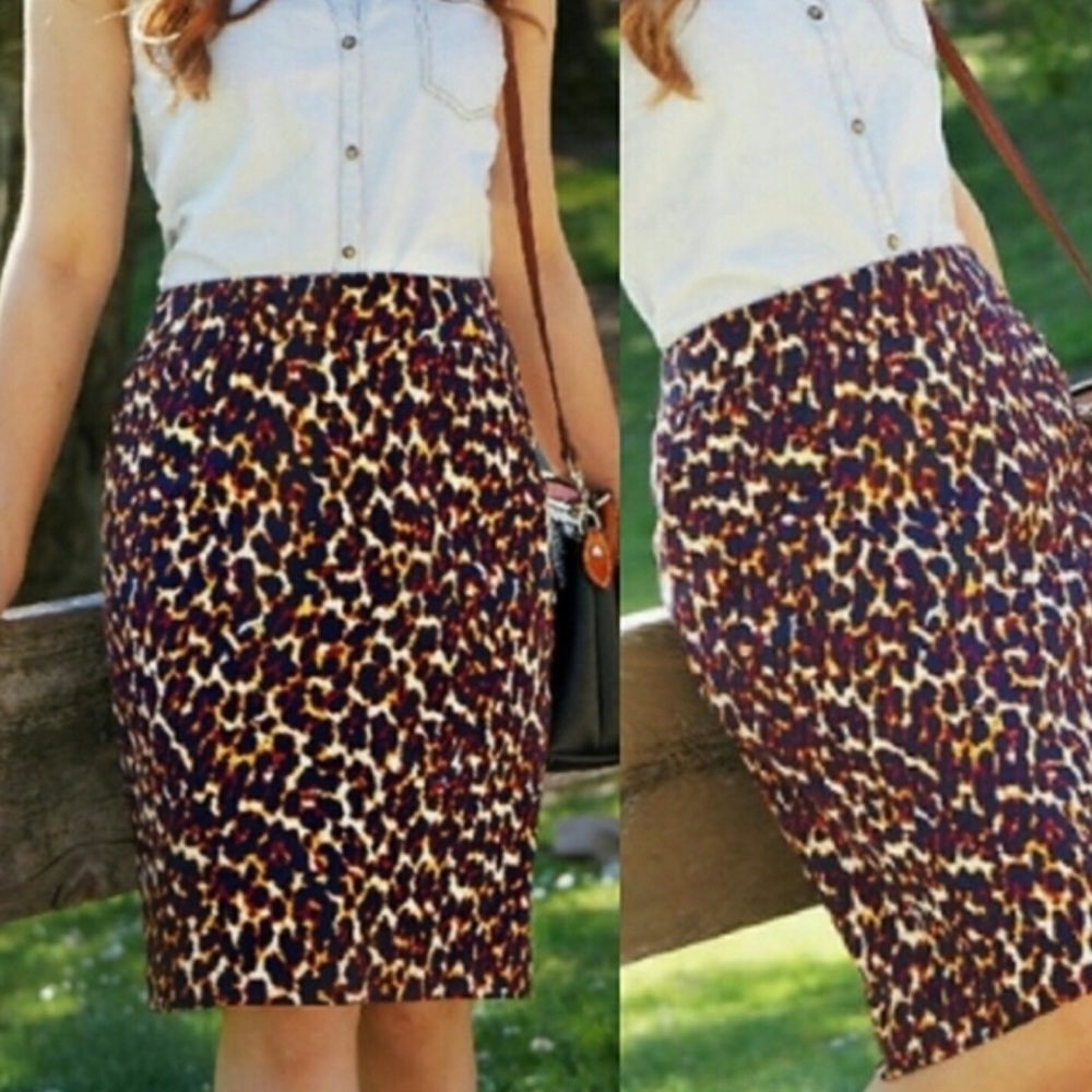 Merona Skirt